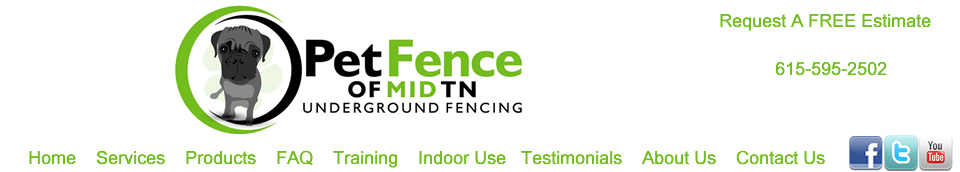 Pet fence. Invisible fencing.